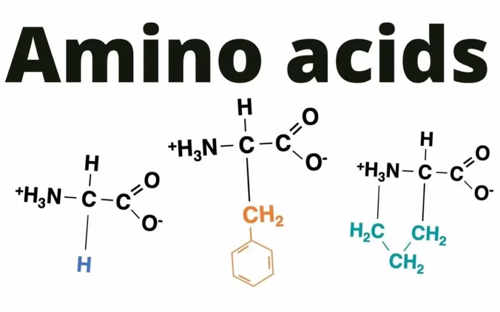 aminoácidos