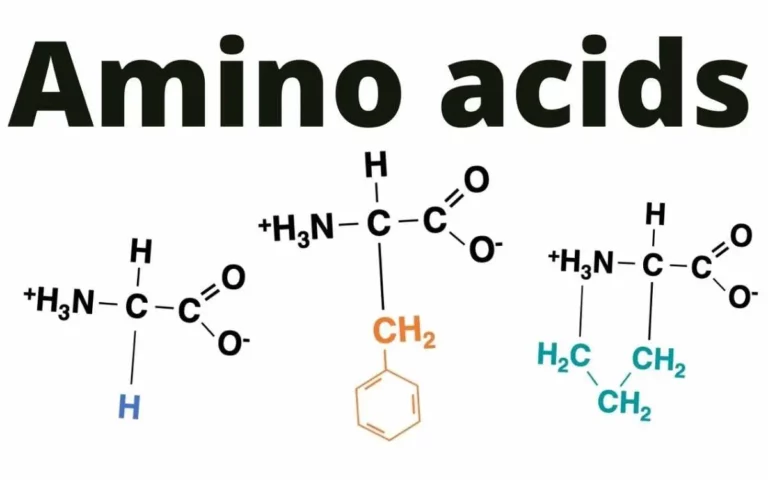 aminoácidos