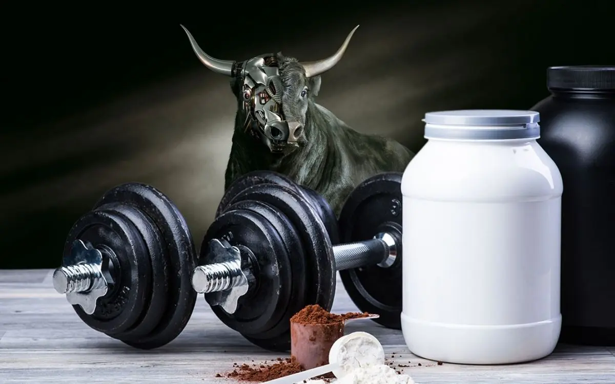 Beef Protein