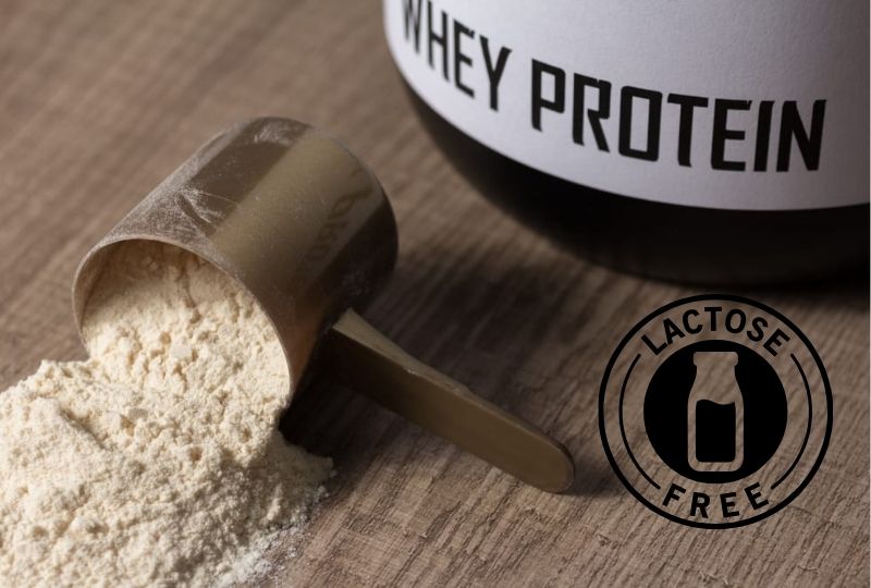 Whey Protein Isolado Zero Lactose e Zero Glúten